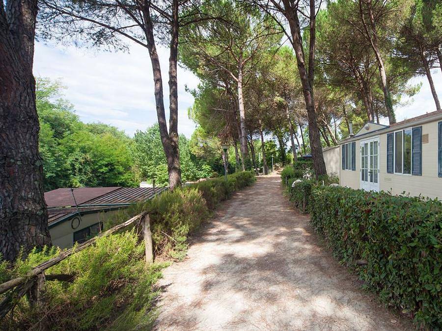 Camping Toscana Holiday Village - Stacaravan 5 personen - Klassiek in Montopoli in Val d'Arno, Provincie Pisa