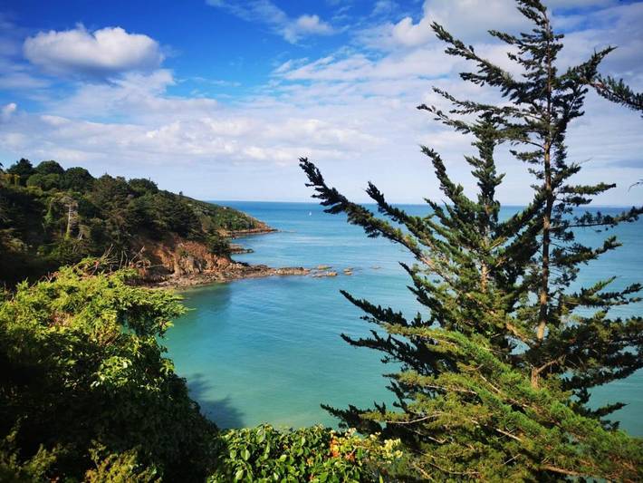 Chambre d’hôte pour 2 personnes, avec terrasse dans Binic-Étables-sur-Mer - 4