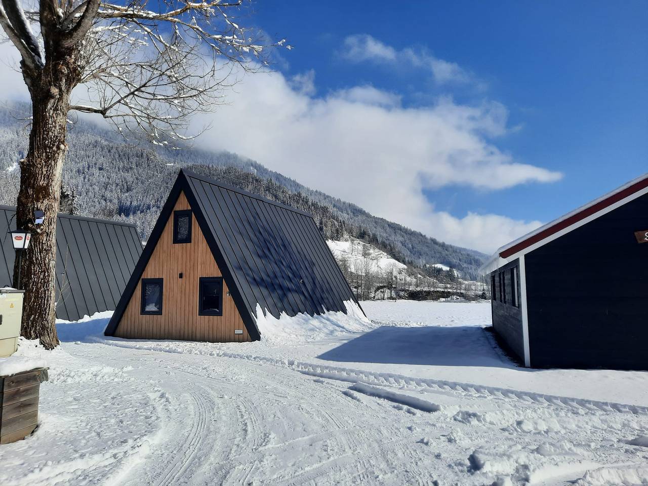 Parc Sonnleiten - Steenbok in Gnesau, Bezirk Feldkirchen