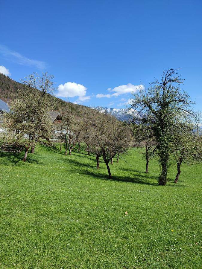 Ferienwohnung für 2 Personen, mit Pool und Sauna sowie Garten und Whirlpool in Sankt Wolfgang im Salzkammergut - 2