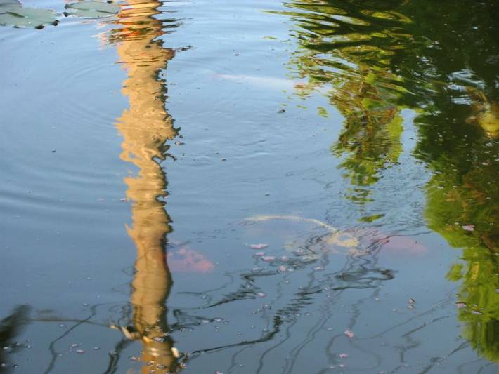 Gîte pour 3 personnes, avec jardin dans Mureș