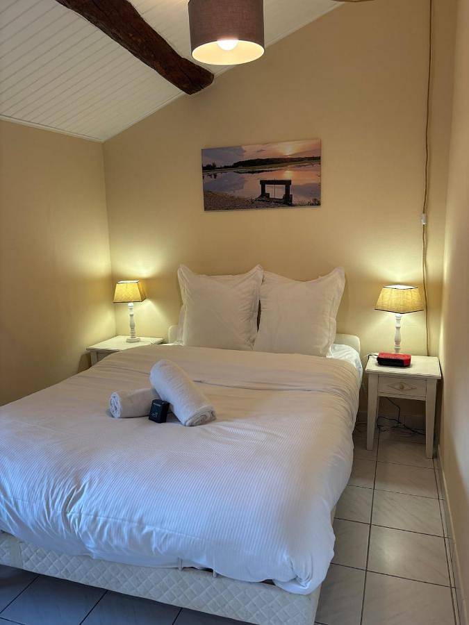 Gîte pour 3 personnes, animaux acceptés à Châtillon-sur-Chalaronne - 3