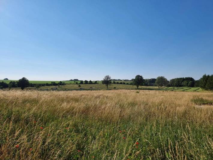 Location de vacances pour 9 personnes, avec vue et jardin à Momignies - 4