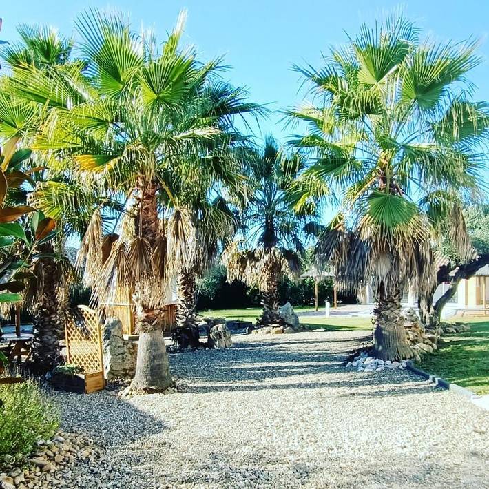 Gîte pour 4 personnes, avec jardin ainsi que jacuzzi et piscine à Maureilhan - 2