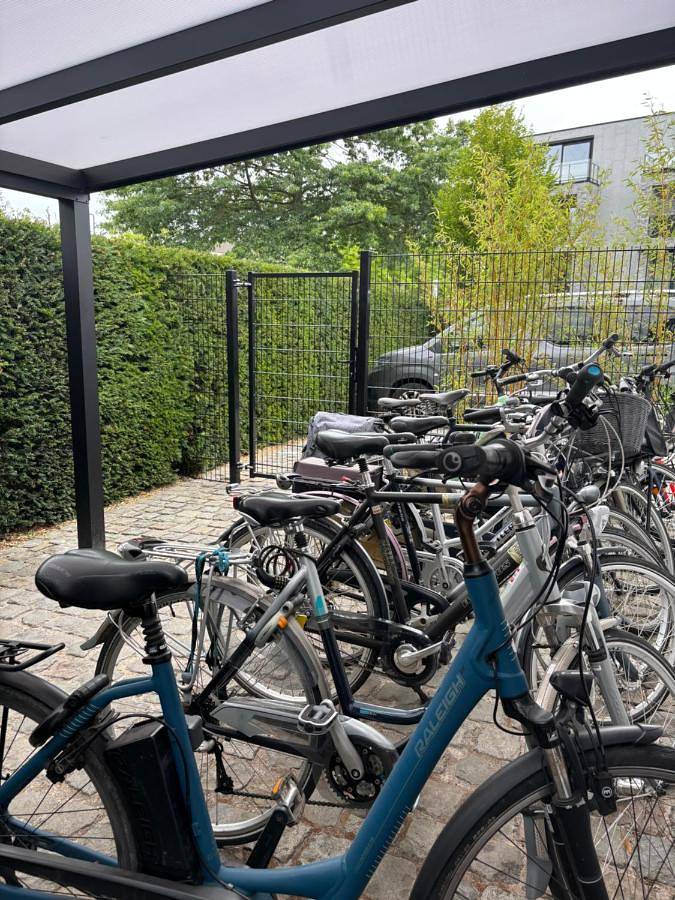 Nummer 151 villastudios in Hasselt, Région de Hasselt