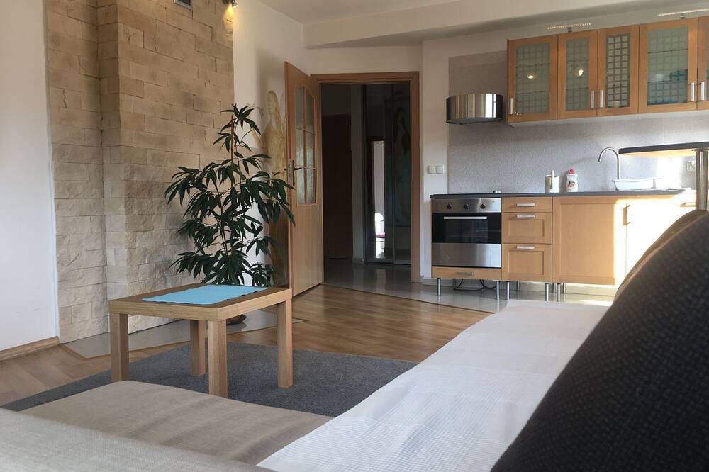 Entire apartment, Family apartament with balcony in Zakopane, Carpathians (Poland)