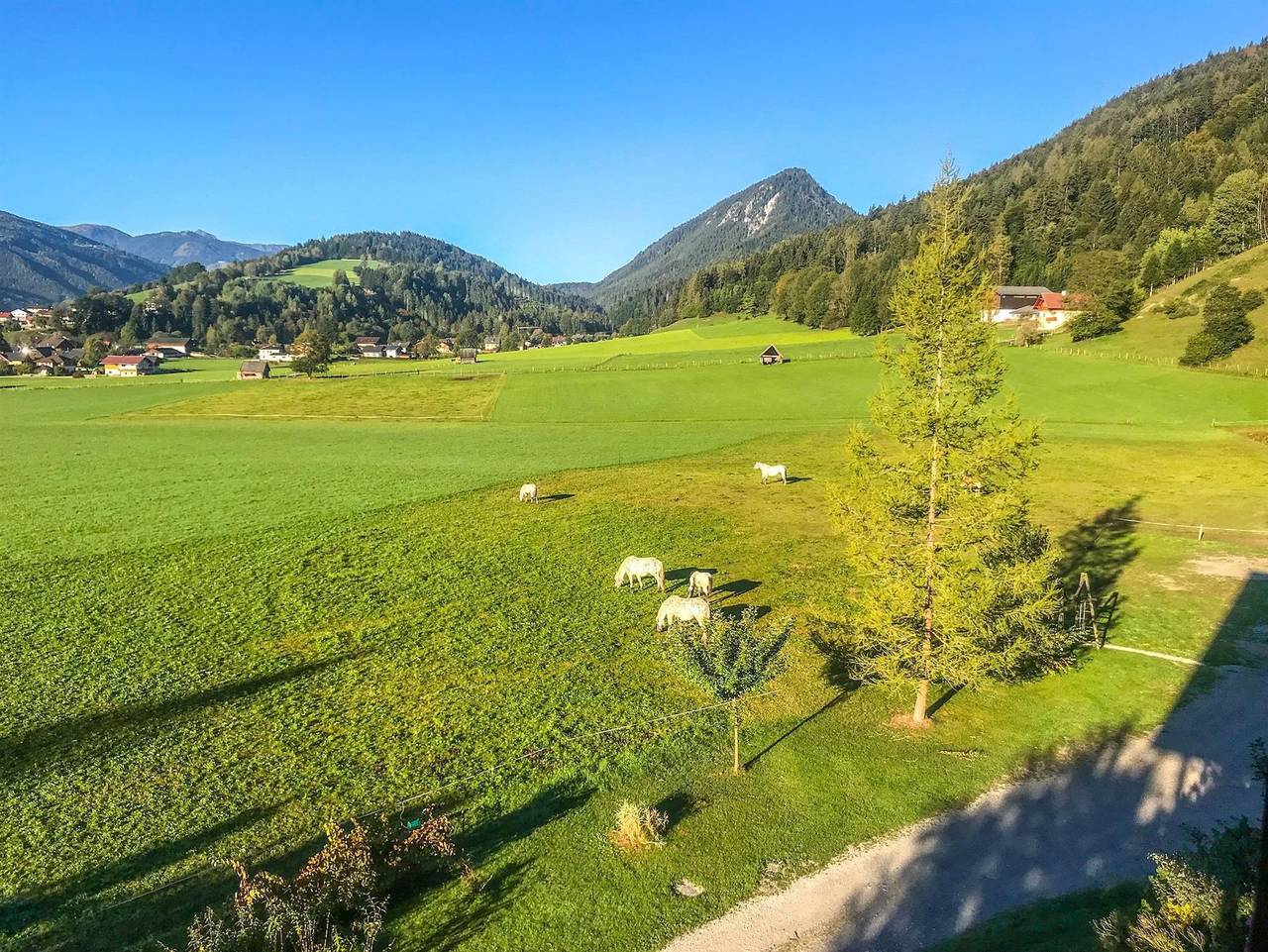 Ganze Ferienwohnung, Rapplhof - Höchstein - Studio in Haus, Schladming-Dachstein