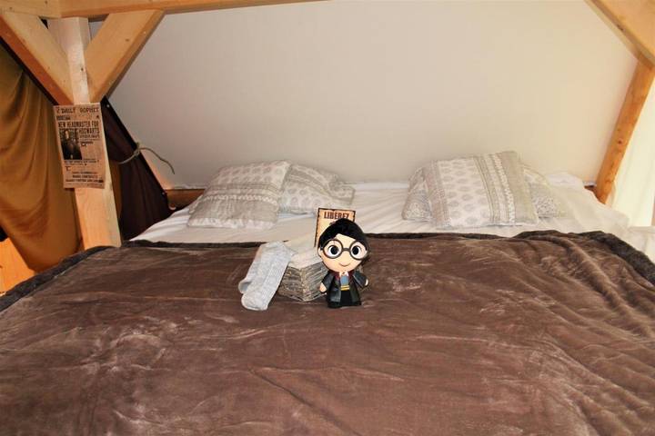 Gîte pour 5 personnes, avec jardin et jacuzzi dans Magnières - 3