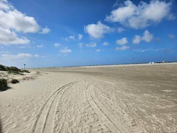 Ferielejlighed til 4 Personer i Fanø, Vesterhavet, Billede 4