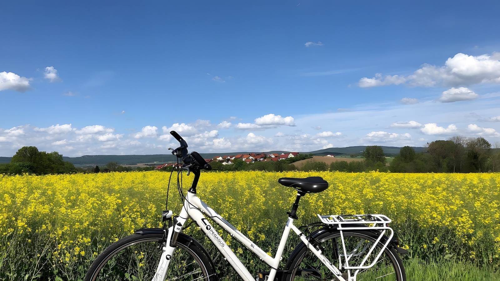 Ganze Wohnung, Ferienwohnung Wesertal für 3 Personen (89 m²) in Hameln in Hameln, Weserbergland