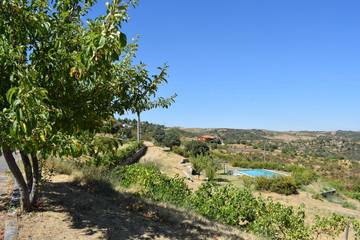 Casa De Férias para 8 Pessoas em Bemposta (Mogadouro), Vale do Douro, Foto 1