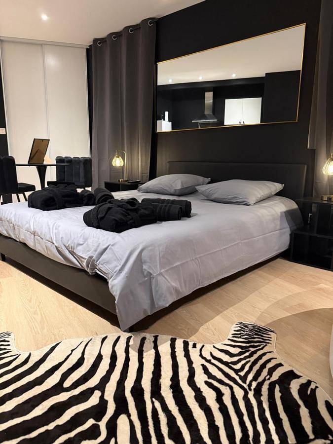 Appartement entier, La Suite Miroir - Baignoire balnéo in Châlons-en-Champagne, Marne