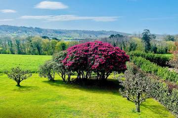 Gîte pour 10 personnes, avec jacuzzi et jardin à La Forest-Landerneau