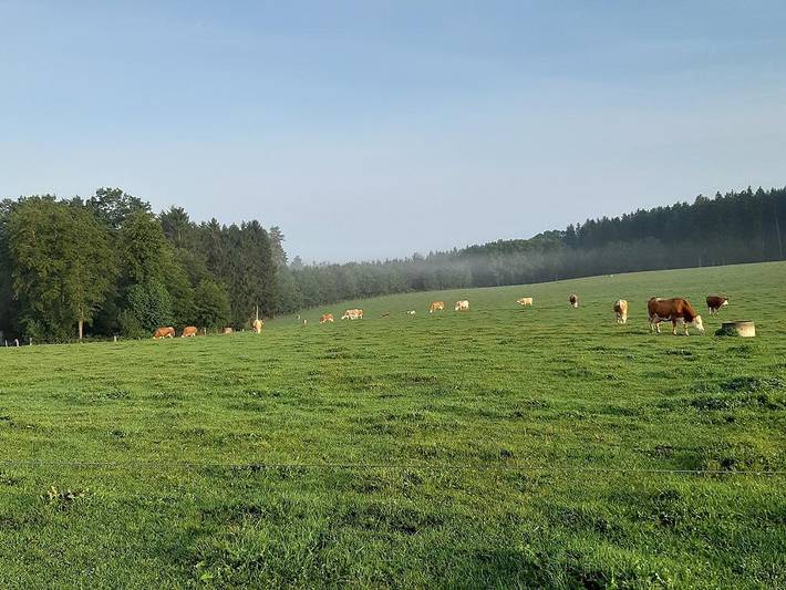 Ferienhaus für 5 Personen, mit Whirlpool und Sauna sowie Garten und Pool
