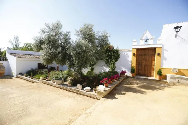 Villa für 14 Personen, mit Terrasse und Garten sowie Pool - 1