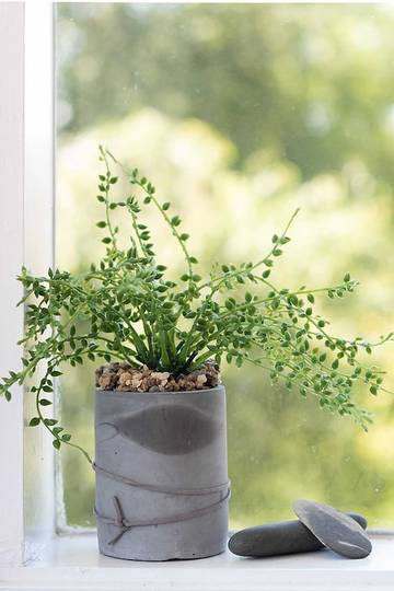 Holiday Home for 7 People in Launceston, Tasmania, Photo 3