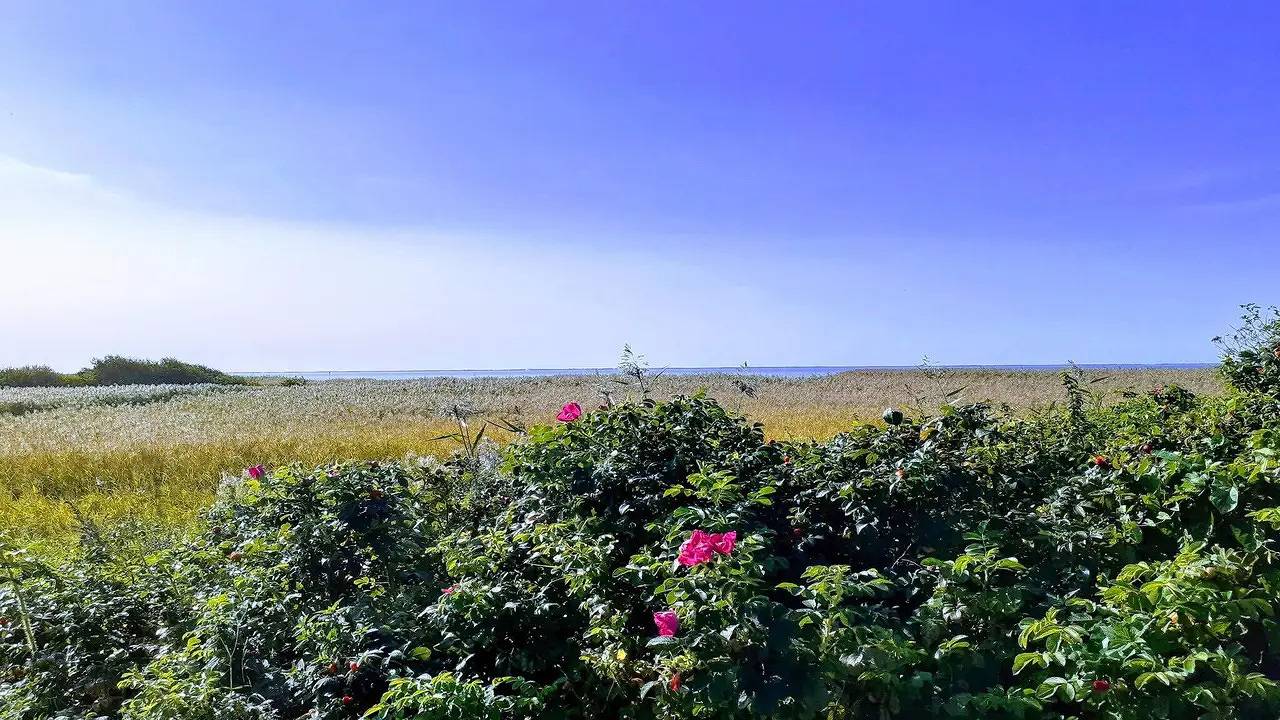 Ferienhaus für 8 Personen (112 m²) in Sønderby in Stauning, Ringkøbing fjord
