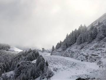 Location de vacances pour 15 personnes, avec jardin ainsi que sauna et vue à Lanne-en-Barétous