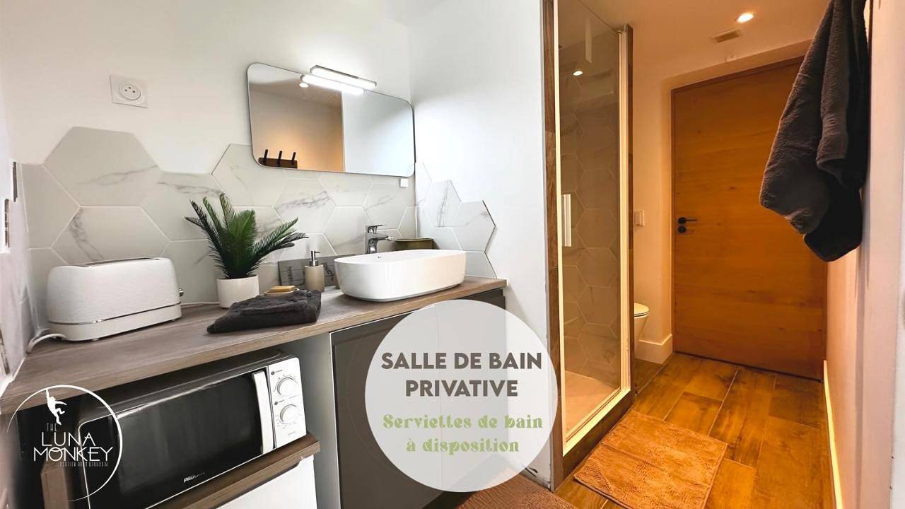 Luna Monkey, Chambre & Terrasse privée, Bourgoin Centre in Bourgoin-Jallieu, Région de La Tour-du-Pin