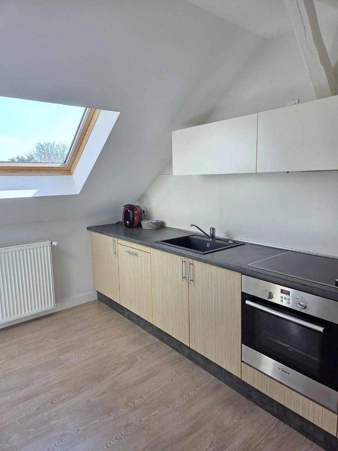 Gîte pour 4 personnes, avec jardin, animaux acceptés dans Bining - 3