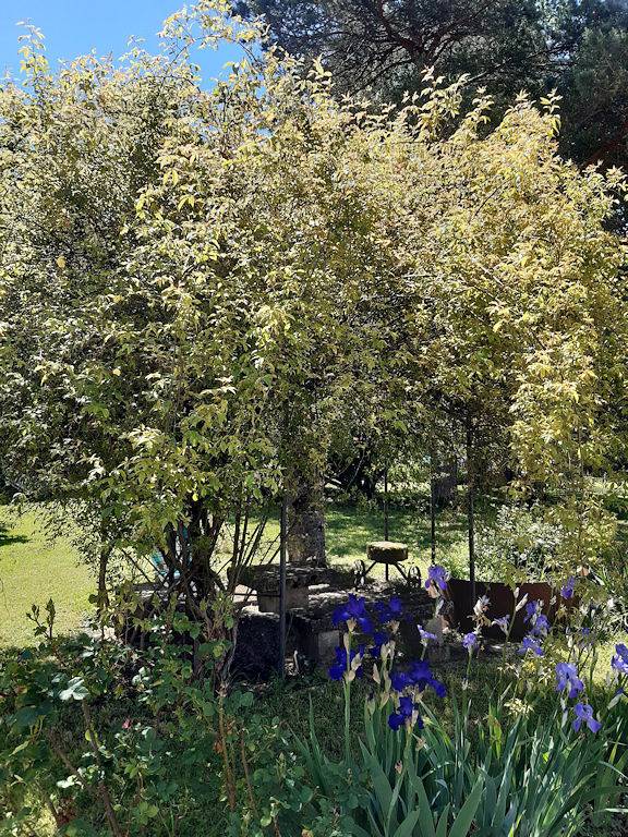 Gîte pour 6 personnes, avec terrasse ainsi que piscine et jardin à Saint-Lothain - 3