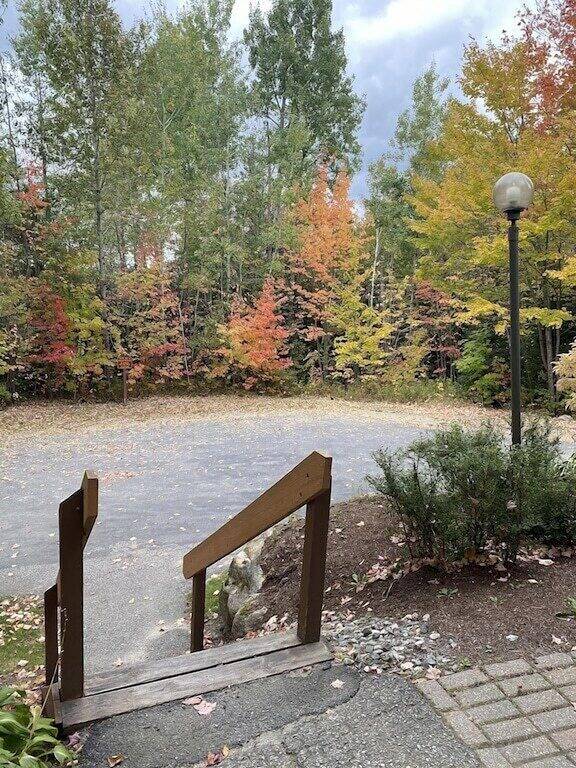 Ganze Wohnung, Hike, Bike & Explore Bretton Woods | 1st on Mountain Lux Suite in Bretton Woods, Carroll
