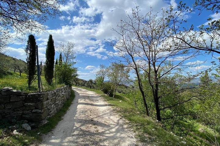 Appartamento per 4 persone, con animali domestici in Sesto Fiorentino