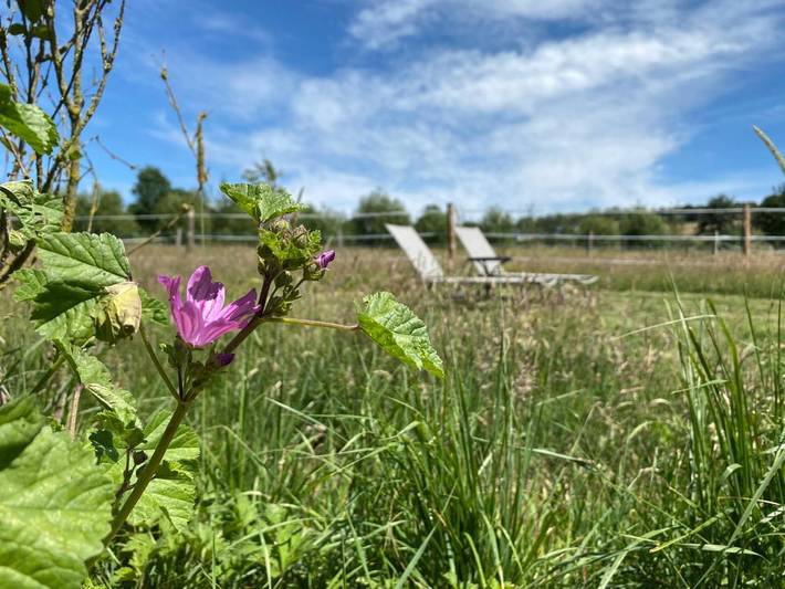 Chambre d’hôte pour 2 personnes, avec jardin et vue à Gesves - 2