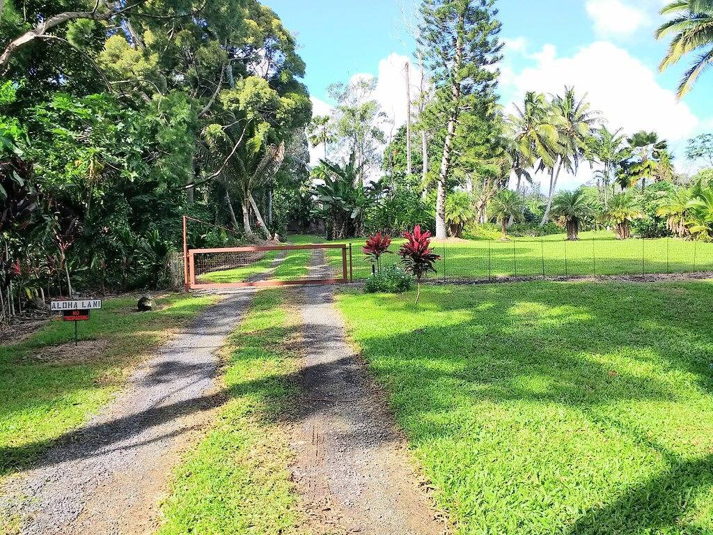 Erleben Sie Hawaii auf einem 3 Hektar großen Botanischen Garten in Kehena, West Puna