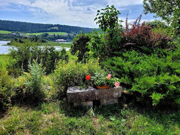 Gîte pour 4 personnes, avec jardin ainsi que vue et terrasse, animaux acceptés à Grande-Rivière - 2