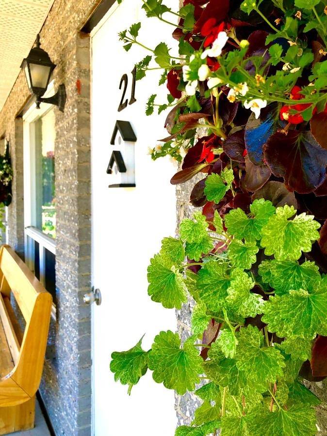 Hôtel pour 4 personnes dans Tadoussac - 4