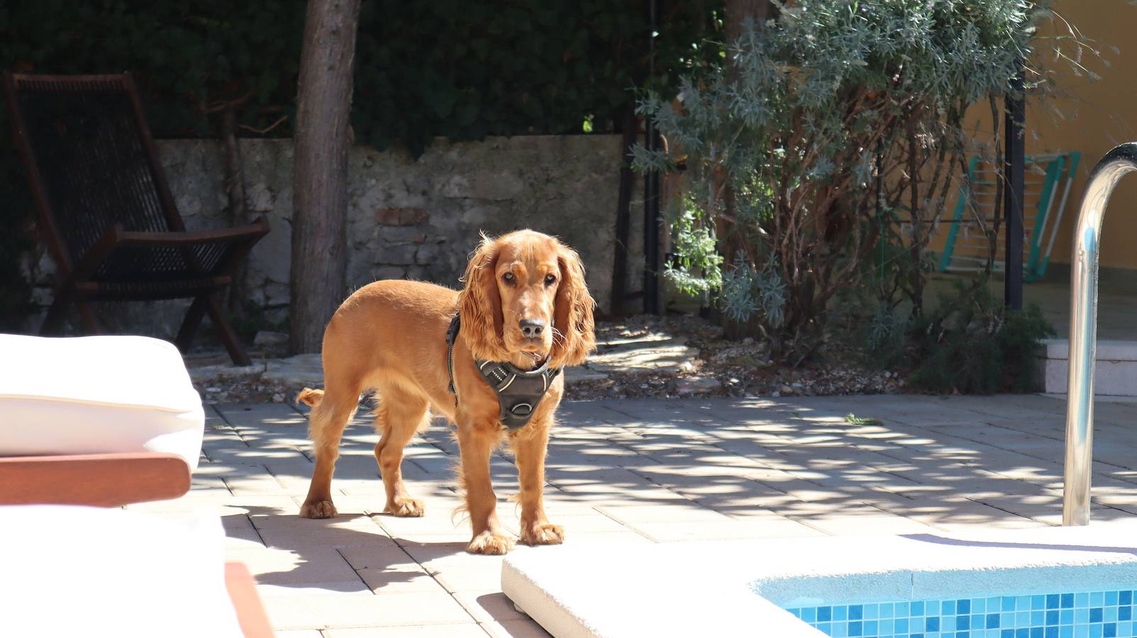 "Art House" by Secra in Rovinjsko Selo, Rovinj