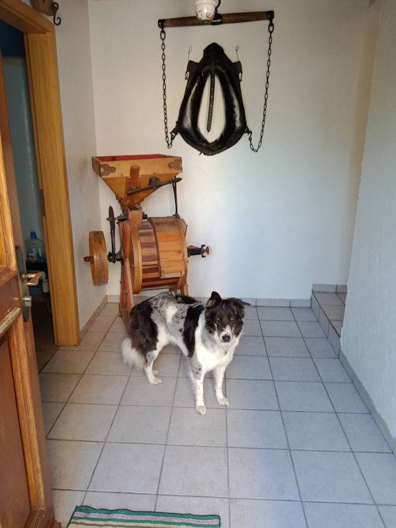 Gîte pour 6 personnes, avec jardin et terrasse en Moselle - 3