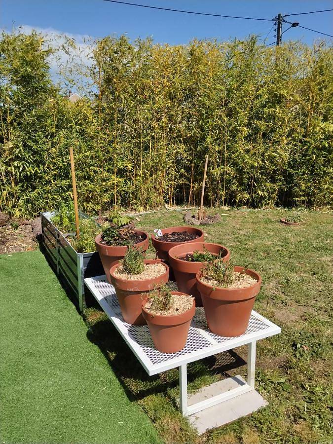 Gîte pour 2 personnes, avec Terrasse à Bellerive-sur-Allier - 2