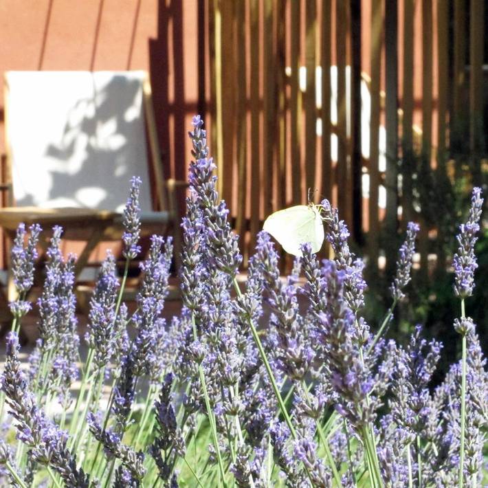 Chambre d’hôte pour 3 personnes, avec Terrasse et Jardin ainsi que Piscine et Vue