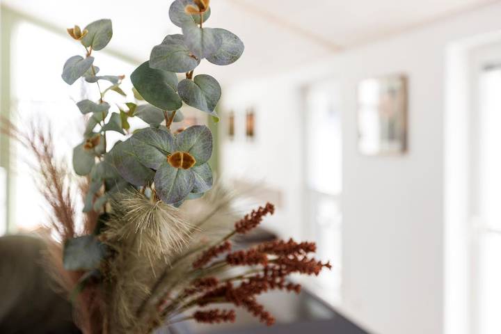 Bungalow für 4 Personen, mit Garten und Sauna, mit Haustier im Emsland - 3