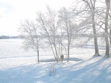 Ferienwohnung für 4 Personen in Worpswede, Niedersachsen, Bild 2