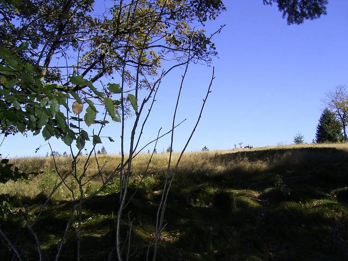 Pension für 4 Personen, mit Balkon/Terrasse und Terrasse in Zwiesel - 2