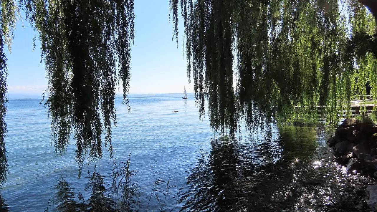 Ganze Ferienwohnung, Ferienwohnung für 4 Personen (100 m²) in Immenstaad am Bodensee in Immenstaad, Immenstaad am Bodensee