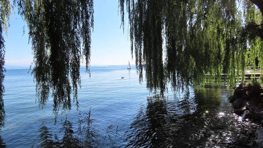 Ganze Ferienwohnung, Ferienwohnung für 4 Personen (100 m²) in Immenstaad am Bodensee in Immenstaad, Immenstaad am Bodensee