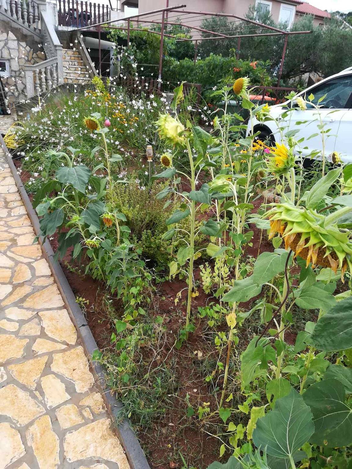 Ganze Wohnung, Studio Appartement mit Balkon und Meerblick Kraj, Pasman As-22566-a in Ugrinici, Kraj