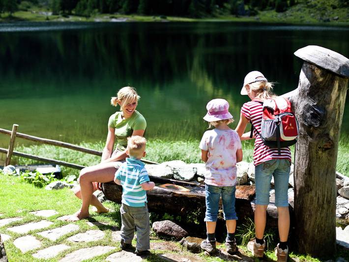 Chalet für 10 Personen, mit Sauna und Terrasse sowie Garten in Murau - 4