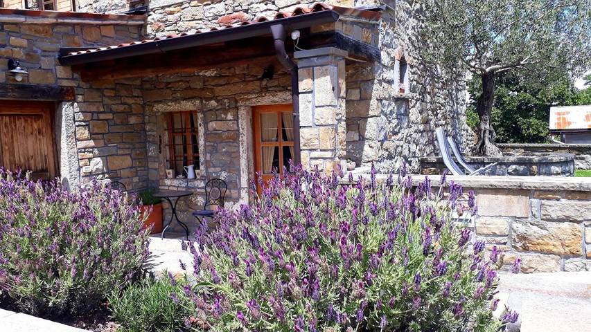 Maison de campagne pour 4 personnes, avec jardin et vue, animaux acceptés à Koper - 3
