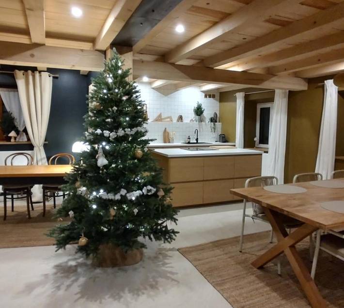 Location de vacances pour 8 personnes, avec terrasse, animaux acceptés à Hochfelden - 4