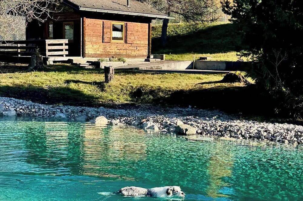 Relaxation in Mountain Chalet, large garden, pond, private fenced dog area in Pieve di Cadore, Dolomites de l'Est