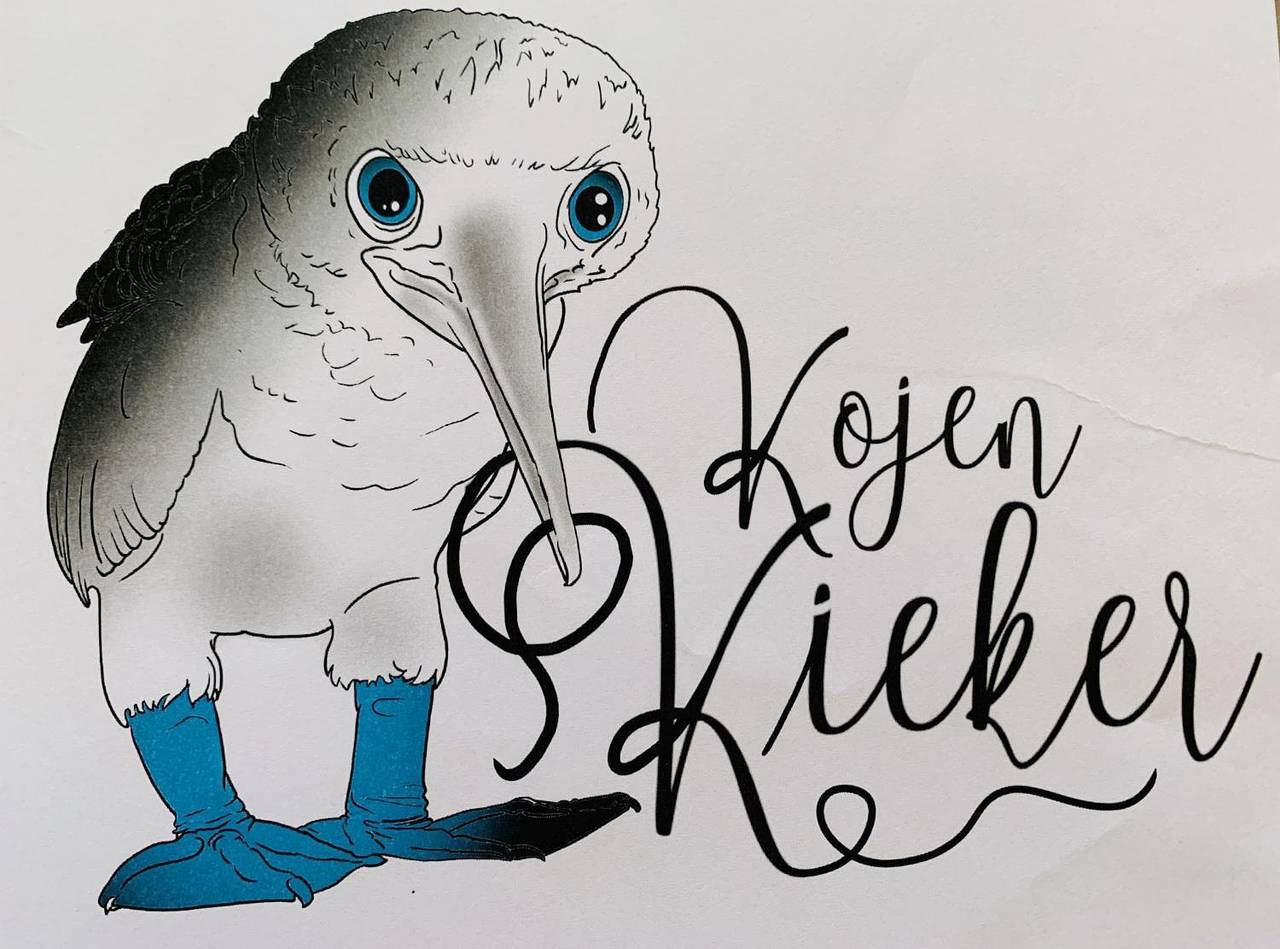 Ganze Ferienwohnung, S3 - Kojenkieker in Westerland, Sylt (Gemeinde)