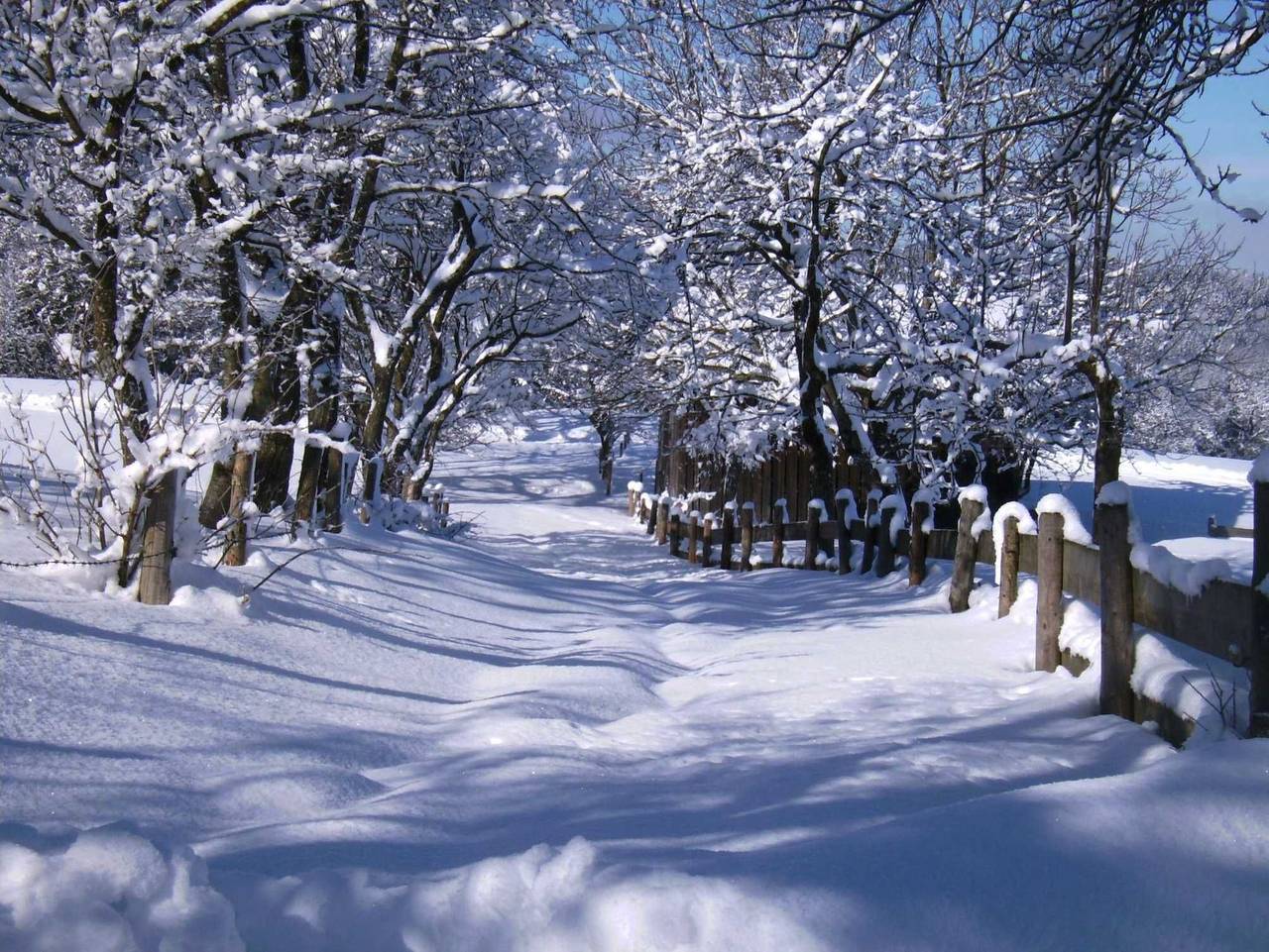 Christerhof - Fam. Lidschreiber - Kuckucksnest Ferienwohnung in Fischbachau, Bayerische Alpen