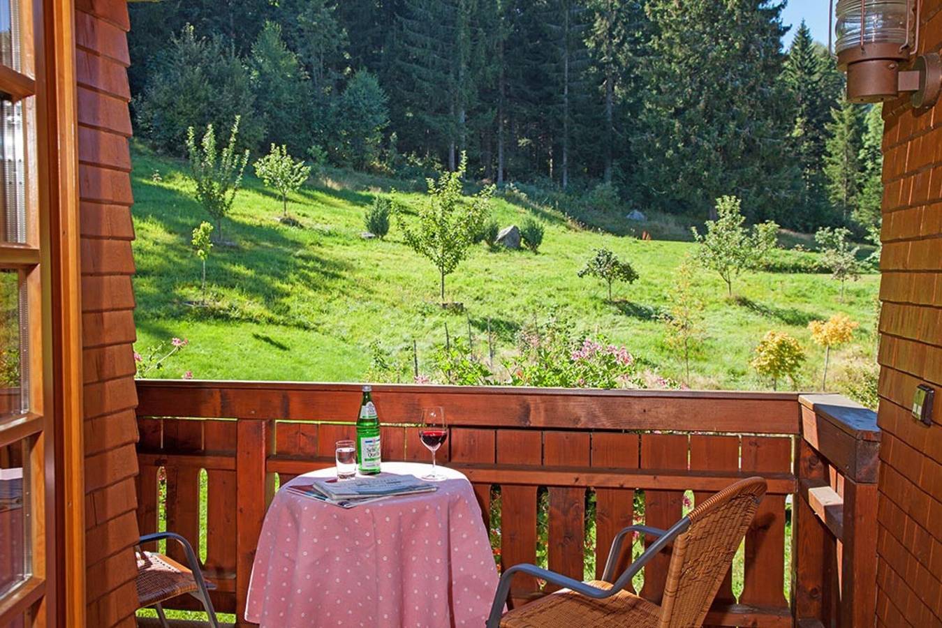 Ganze Wohnung, Ferienwohnung Sonne, 35qm" mit Bergblick, gemeinsamer Terrasse und Wlan in Hinterzarten, Südschwarzwald