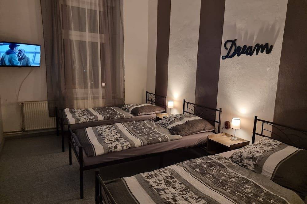 Ganze Wohnung, Ferienwohnung zum alten Hotel (bis 10 Personen) in Gramzow, Uckermark