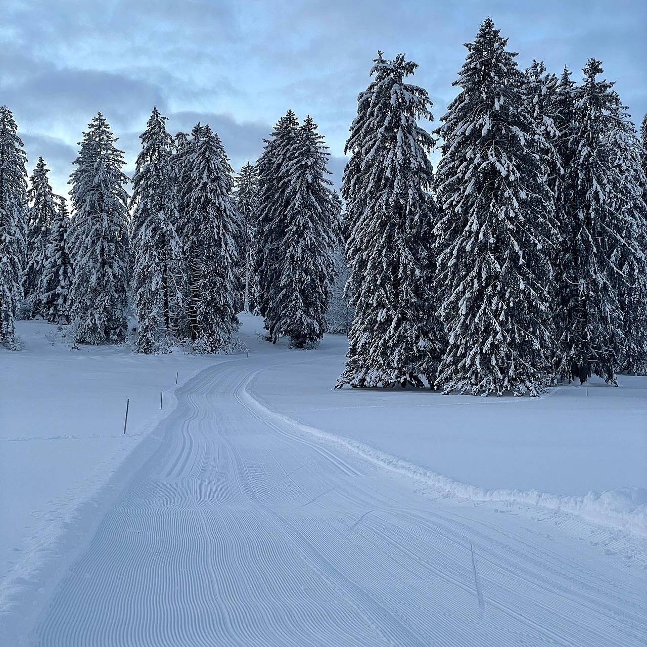 Ganze Ferienwohnung, Appartement - La Doline - Ferienwohnung - La Doline (Le Peu-Péquignot), 4 Personen, 2 Räume in Le Noirmont, Kanton Jura